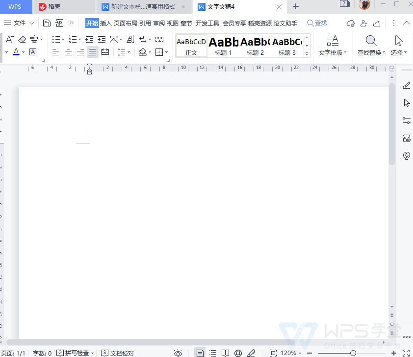 【WPS文字新手入门课】新建文本样式 快速套用格式