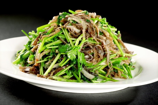 芫爆鲜百叶图片素材 芫爆鲜百叶设计素材 芫爆鲜百叶摄影作品 芫爆鲜百叶源文件下载 芫爆鲜百叶图片素材下载 芫爆鲜百叶背景素材 芫爆鲜百叶模板 ...