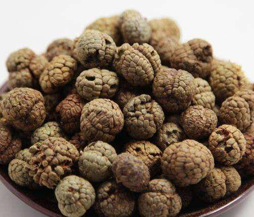 【本草香料】草寇：辛香化湿的厚味之品