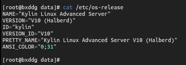 银河麒麟操作系统 v10 中离线安装 Docker全指南