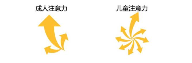 【从0开始的认知科学启蒙】我们为什么总是分心？注意力的认知机制全解析