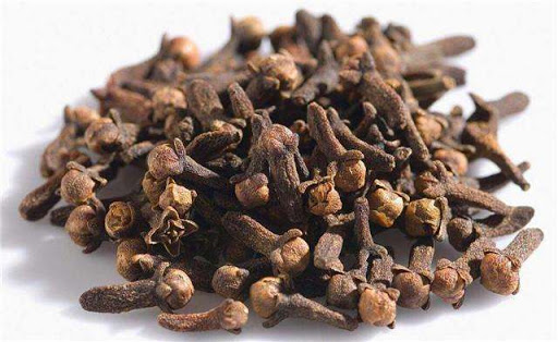 【本草香料】丁香：温中降逆的芳香之品